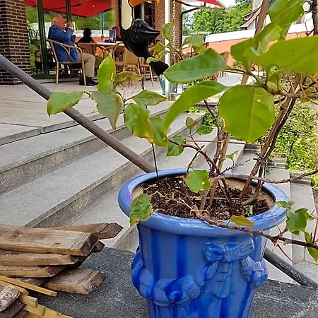 Rio Nocleg ze śniadaniem