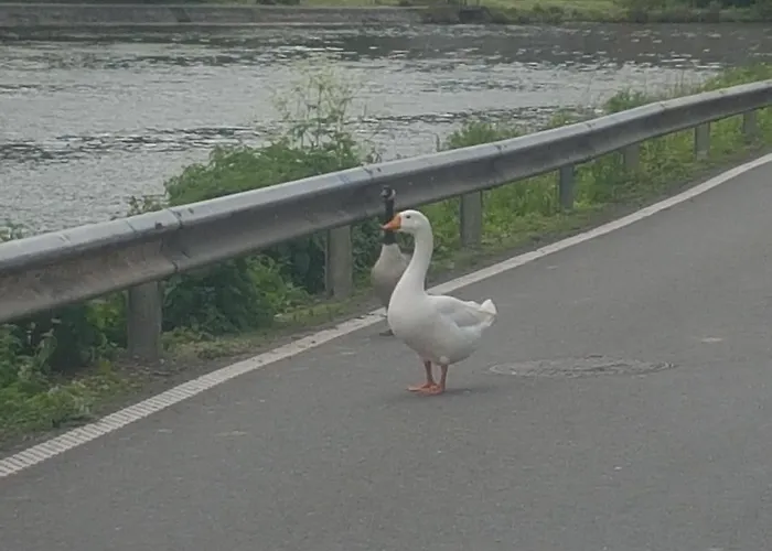 Auberge Rio Couette-café 3*