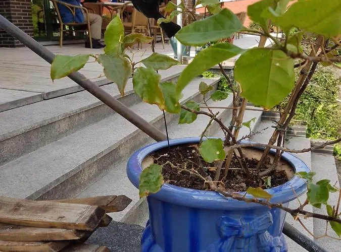 Couette-café Auberge Rio